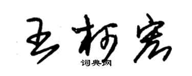 朱錫榮王柯宏草書個性簽名怎么寫