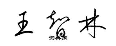 梁錦英王智林草書個性簽名怎么寫