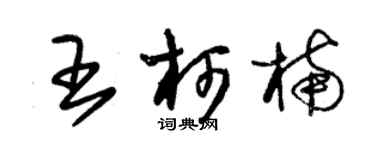 朱錫榮王柯楠草書個性簽名怎么寫