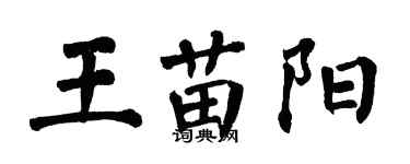 翁闓運王苗陽楷書個性簽名怎么寫