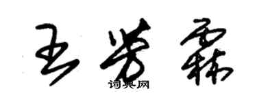 朱錫榮王芳霖草書個性簽名怎么寫