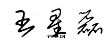 朱錫榮王星磊草書個性簽名怎么寫