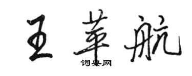 駱恆光王苹航行書個性簽名怎么寫