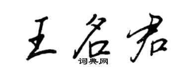 王正良王名君行書個性簽名怎么寫