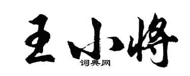 胡問遂王小將行書個性簽名怎么寫
