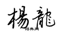 王正良楊龍行書個性簽名怎么寫