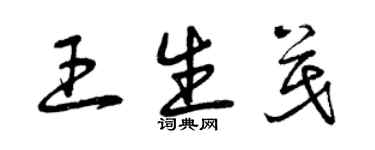 曾慶福王生茂草書個性簽名怎么寫