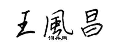 王正良王風昌行書個性簽名怎么寫