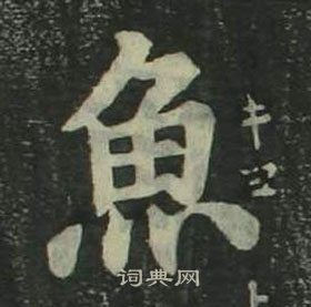 姜立綱四體千字文中魚的寫法