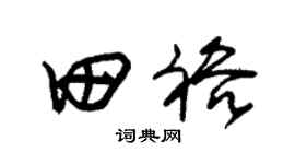 朱錫榮田裕草書個性簽名怎么寫