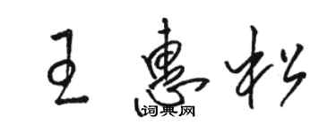 駱恆光王惠松草書個性簽名怎么寫