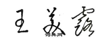 駱恆光王美露草書個性簽名怎么寫