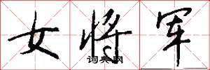 女將軍怎么寫好看