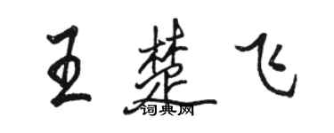 駱恆光王楚飛行書個性簽名怎么寫