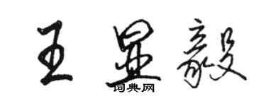 駱恆光王顯毅行書個性簽名怎么寫