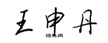 王正良王申丹行書個性簽名怎么寫