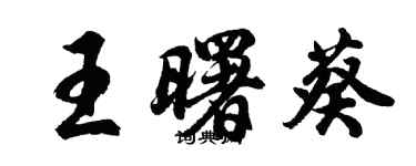 胡問遂王曙葵行書個性簽名怎么寫