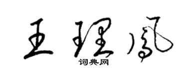 梁錦英王理鳳草書個性簽名怎么寫