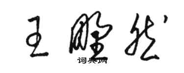 駱恆光王野然草書個性簽名怎么寫