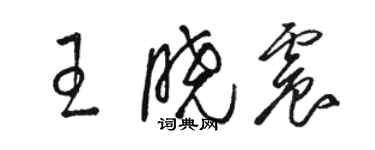 駱恆光王曉震草書個性簽名怎么寫