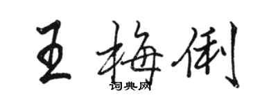 駱恆光王梅俐行書個性簽名怎么寫