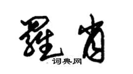 朱錫榮羅肖草書個性簽名怎么寫