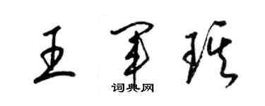 梁錦英王軍琪草書個性簽名怎么寫