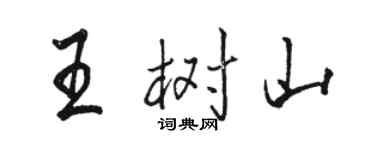 駱恆光王樹山行書個性簽名怎么寫