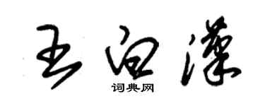 朱錫榮王白漢草書個性簽名怎么寫