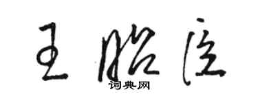 駱恆光王昭臣草書個性簽名怎么寫