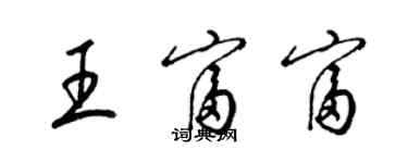 梁錦英王富富草書個性簽名怎么寫