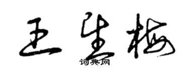 曾慶福王望梅草書個性簽名怎么寫