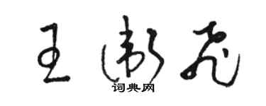 駱恆光王衛飛草書個性簽名怎么寫