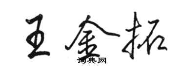 駱恆光王金拓行書個性簽名怎么寫