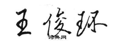 駱恆光王俊環行書個性簽名怎么寫