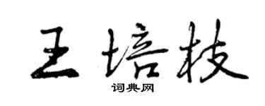 曾慶福王培枝行書個性簽名怎么寫