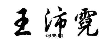 胡問遂王沛霓行書個性簽名怎么寫