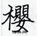 張標寫的硬筆楷書櫻