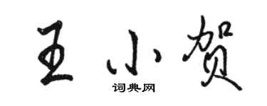 駱恆光王小賀行書個性簽名怎么寫