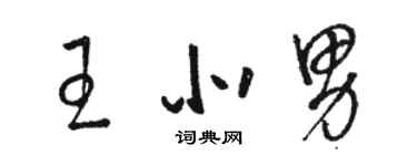 駱恆光王北男草書個性簽名怎么寫