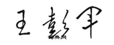 駱恆光王彭軍草書個性簽名怎么寫