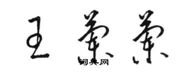 駱恆光王蘭蘭草書個性簽名怎么寫