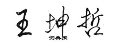 駱恆光王坤哲行書個性簽名怎么寫