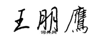 王正良王朋鷹行書個性簽名怎么寫