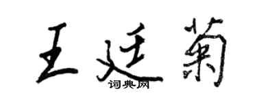 王正良王廷菊行書個性簽名怎么寫