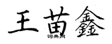 丁謙王苗鑫楷書個性簽名怎么寫