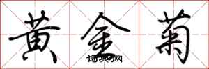荊霄鵬黃金菊行書怎么寫