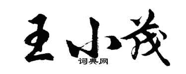 胡問遂王小茂行書個性簽名怎么寫