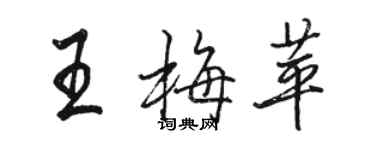 駱恆光王梅苹行書個性簽名怎么寫