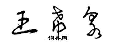 曾慶福王希泉草書個性簽名怎么寫